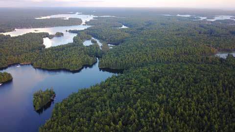 The Massasauga Provincial Park